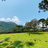 Stio a Venda - Urubici - Serra Catarinense - Excelente Localizao