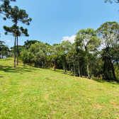 Stio a Venda - Urubici - Serra Catarinense - Excelente Localizao