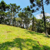 Stio a Venda - Urubici - Serra Catarinense - Excelente Localizao