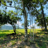 Stio a Venda - Urubici - Serra Catarinense - Excelente Localizao