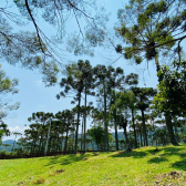 Stio a Venda - Urubici - Serra Catarinense - Excelente Localizao