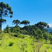 Stio a Venda - Urubici - Serra Catarinense - Vista das Montanhas