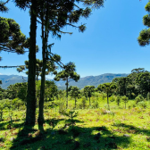 Stio a Venda - Urubici - Serra Catarinense - Vista das Montanhas