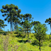 Stio a Venda - Urubici - Serra Catarinense - Vista das Montanhas