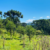 Stio a Venda - Urubici - Serra Catarinense - Vista das Montanhas