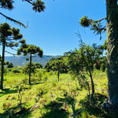 Stio a Venda - Urubici - Serra Catarinense - Vista das Montanhas