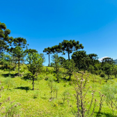 Stio a Venda - Urubici - Serra Catarinense - Vista das Montanhas