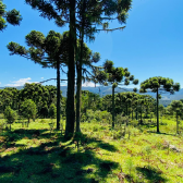 Stio a Venda - Urubici - Serra Catarinense - Vista das Montanhas