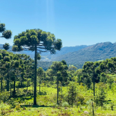 Stio a Venda - Urubici - Serra Catarinense - Vista das Montanhas