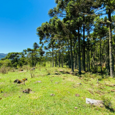 Stio a Venda - Urubici - Serra Catarinense - Vista das Montanhas