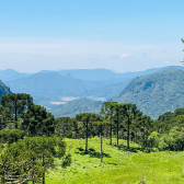 Sitio com 5 hectares a venda