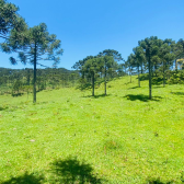 Sitio com 5 hectares a venda