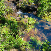 Sitio com 5 hectares a venda