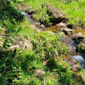 Sitio com 5 hectares a venda