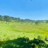 Sitio com 5 hectares a venda