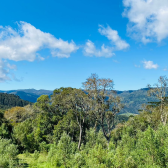 Sitio a Venda com casa e cabana