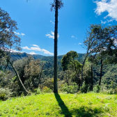 Sitio a Venda com casa e cabana