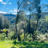 Sitio a Venda com casa e cabana