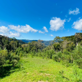 Sitio a Venda com casa e cabana