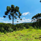 Terreno a Venda - Excelente Localizao  