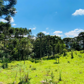 Terreno a Venda - Excelente Localizao  