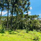 Terreno a Venda - Excelente Localizao  