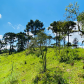 Terreno a Venda - Excelente Localizao  