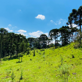 Terreno a Venda - Excelente Localizao  