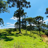 Terreno a Venda - Excelente Localizao  