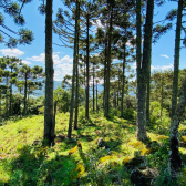 Terreno a Venda - Excelente Localizao  