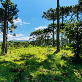 Terreno a Venda - Excelente Localizao  