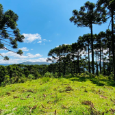 Terreno a Venda - Excelente Localizao  