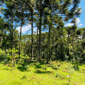 Terreno a Venda - Excelente Localizao  