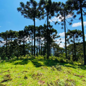 Terreno a Venda - Excelente Localizao  