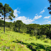 Terreno a Venda - Excelente Localizao  