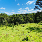 Terreno a Venda - Excelente Localizao  