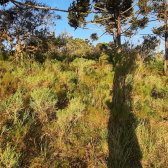 Terreno a Venda -Vista das Montanhas - tima Localizao - Urubici