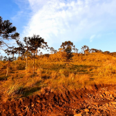 Terreno a Venda -Vista das Montanhas - tima Localizao - Urubici