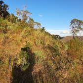 Terreno a Venda -Vista das Montanhas - tima Localizao - Urubici