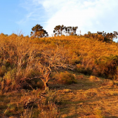 Terreno a Venda -Vista das Montanhas - tima Localizao - Urubici