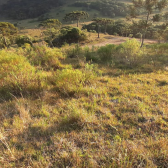 Terreno a Venda -Vista das Montanhas - tima Localizao - Urubici