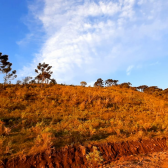 Terreno a Venda -Vista das Montanhas - tima Localizao - Urubici