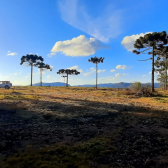 Terreno a Venda - Boa Localizao - Urubici - Serra Catarinense 