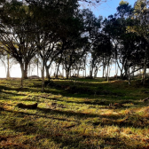 Terreno a Venda - Boa Localizao - Urubici - Serra Catarinense 