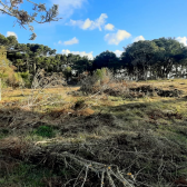 Terreno a Venda - Boa Localizao - Urubici - Serra Catarinense 