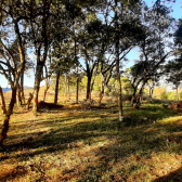 Terreno a Venda - Boa Localizao - Urubici - Serra Catarinense 