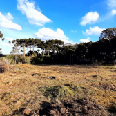 Terreno a Venda - Boa Localizao - Urubici - Serra Catarinense 