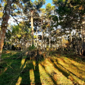 Terreno a Venda - Boa Localizao - Urubici - Serra Catarinense 