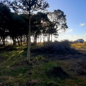 Terreno a Venda - Boa Localizao - Urubici - Serra Catarinense 