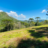 Terreno a Venda - Com gua Corrente - Excelente Localizao 